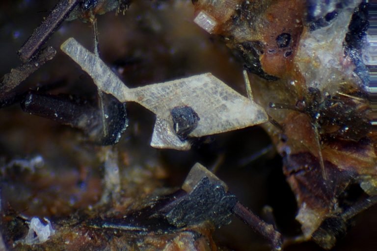 Alfredton, Ballarat, Victoria