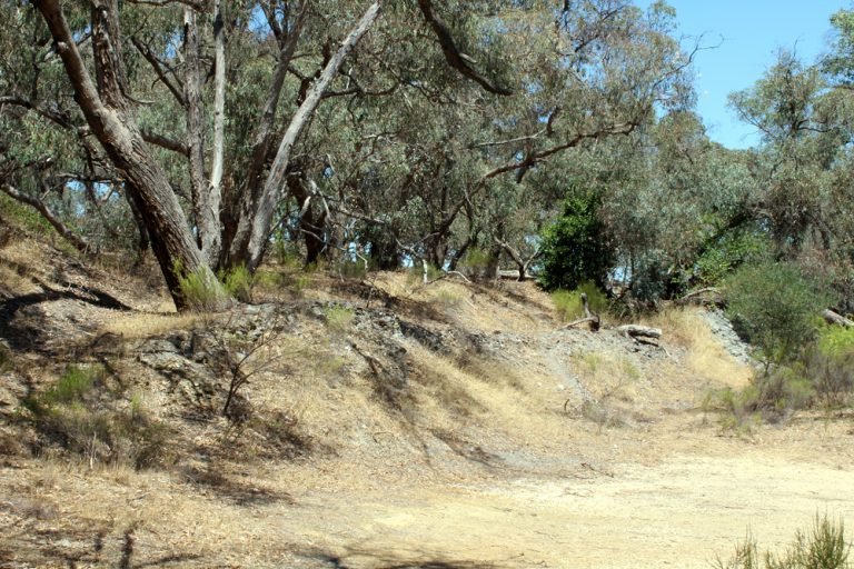 Duke of Cornwall Mine, Fryerstown, Victoria