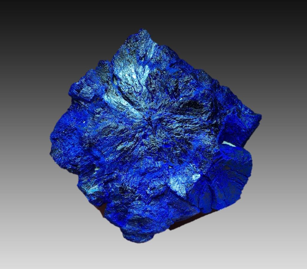 Azurite, Malbunka, Northern Territory. Width 37mm. Steve Sorrell specimen and photo.