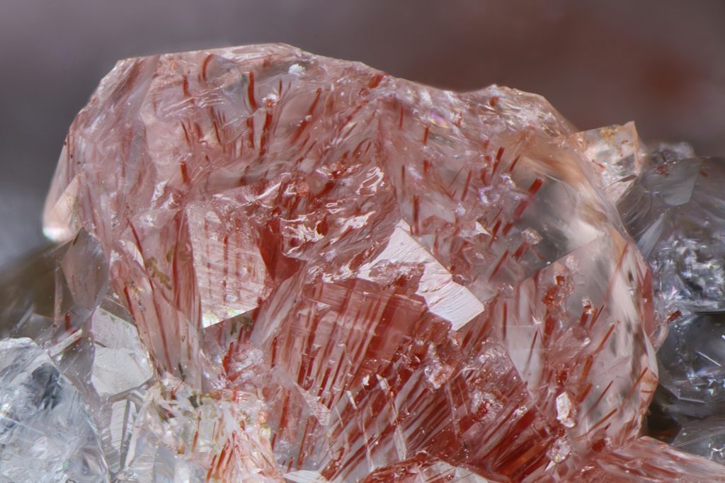 Analcime, natrolite, hematite, Cairns Bay, Flinders, Victoria